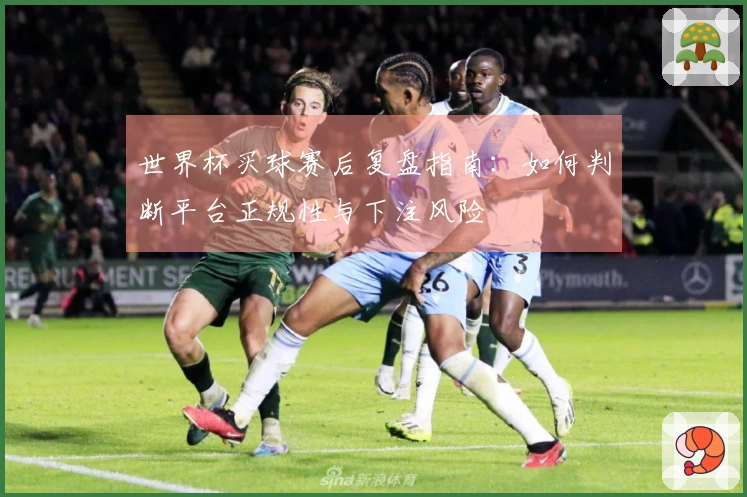 世界杯买球赛后复盘指南：如何判断平台正规性与下注风险