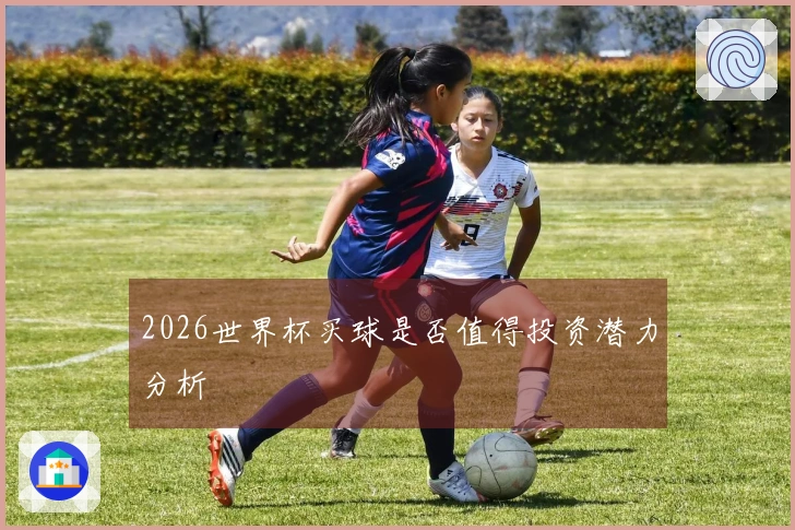 2026世界杯买球是否值得投资潜力分析