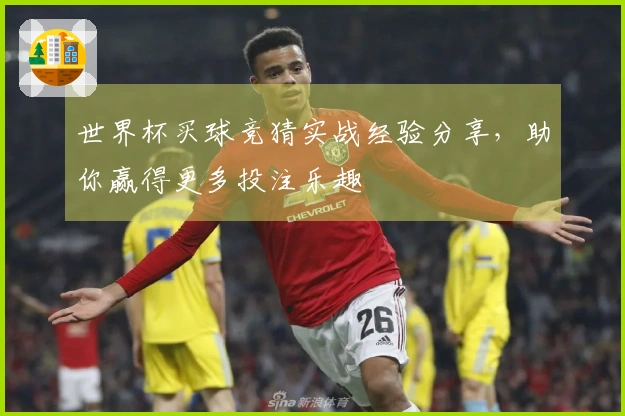 世界杯买球竞猜实战经验分享,助你赢得更多投注乐趣