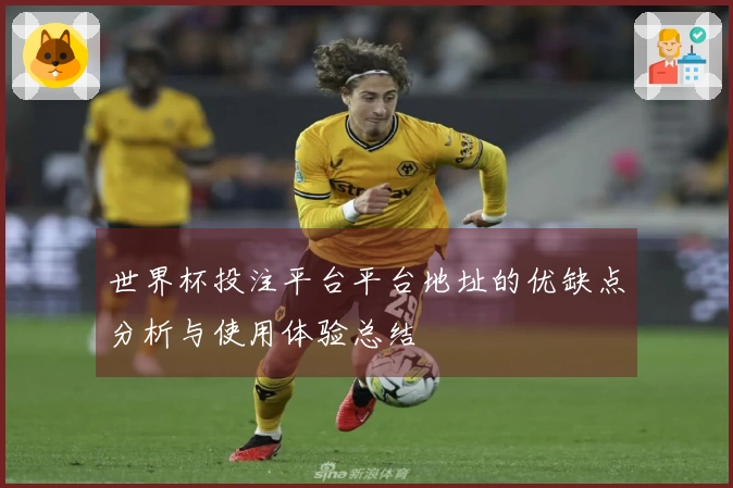 世界杯投注平台平台地址的优缺点分析与使用体验总结