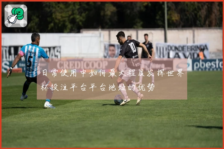 日常使用中如何最大程度发挥世界杯投注平台平台地址的优势