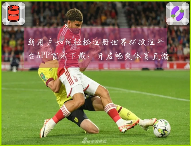 新用户如何轻松注册世界杯投注平台APP官方下载,开启畅爽体育直播体验