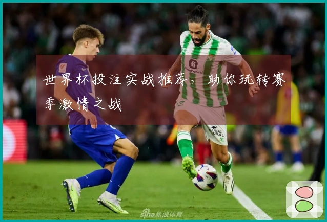 世界杯投注实战推荐，助你玩转赛季激情之战