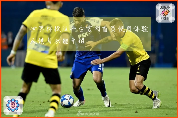 世界杯投注平台官网首页使用体验反馈与功能介绍