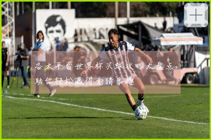 各大平台世界杯买球攻略大盘点，助你轻松赢得竞猜乐趣
