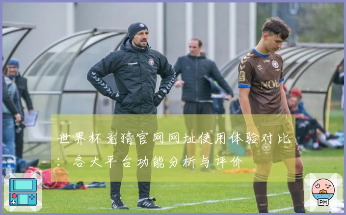 世界杯竞猜官网网址使用体验对比：各大平台功能分析与评价