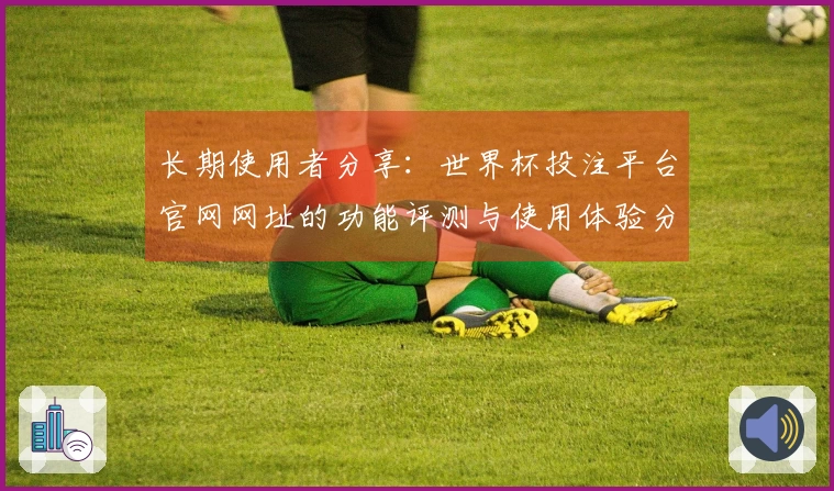 长期使用者分享：世界杯投注平台官网网址的功能评测与使用体验分析