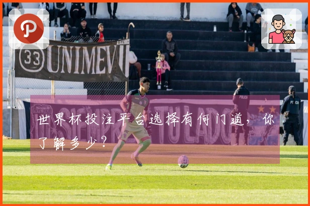 世界杯投注平台选择有何门道，你了解多少？