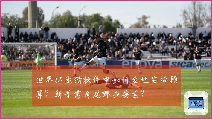 世界杯竞猜软件中如何合理安排预算?新手需考虑哪些要素?