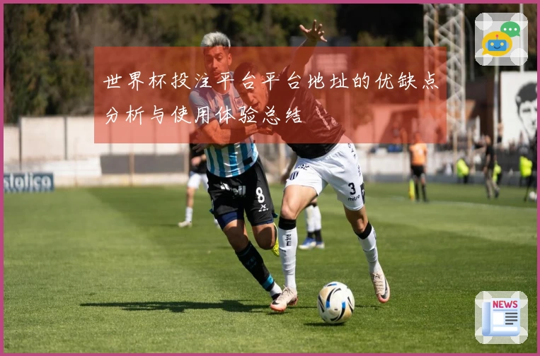 世界杯投注平台平台地址的优缺点分析与使用体验总结