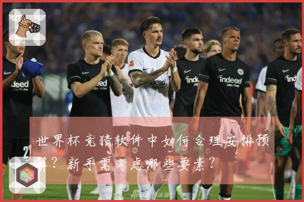 世界杯竞猜软件中如何合理安排预算？新手需考虑哪些要素？