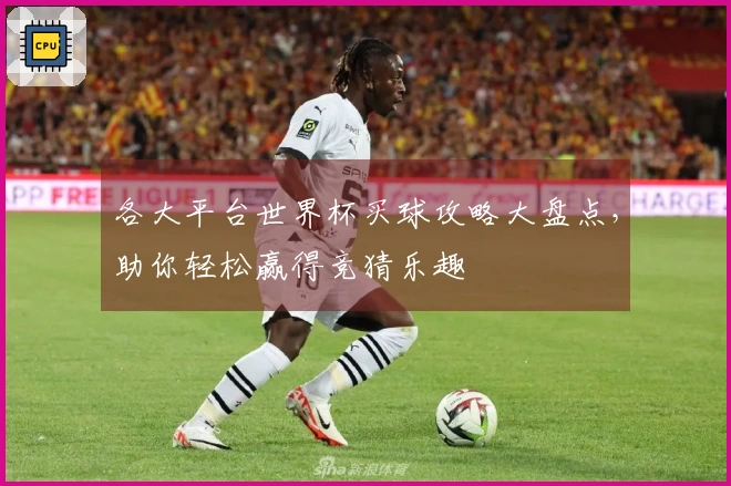 各大平台世界杯买球攻略大盘点,助你轻松赢得竞猜乐趣