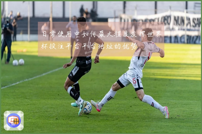 日常使用中如何最大程度发挥世界杯投注平台平台地址的优势