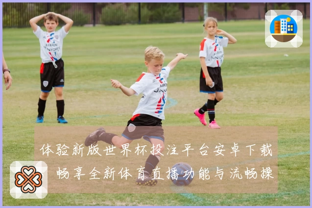 体验新版世界杯投注平台安卓下载，畅享全新体育直播功能与流畅操作指南