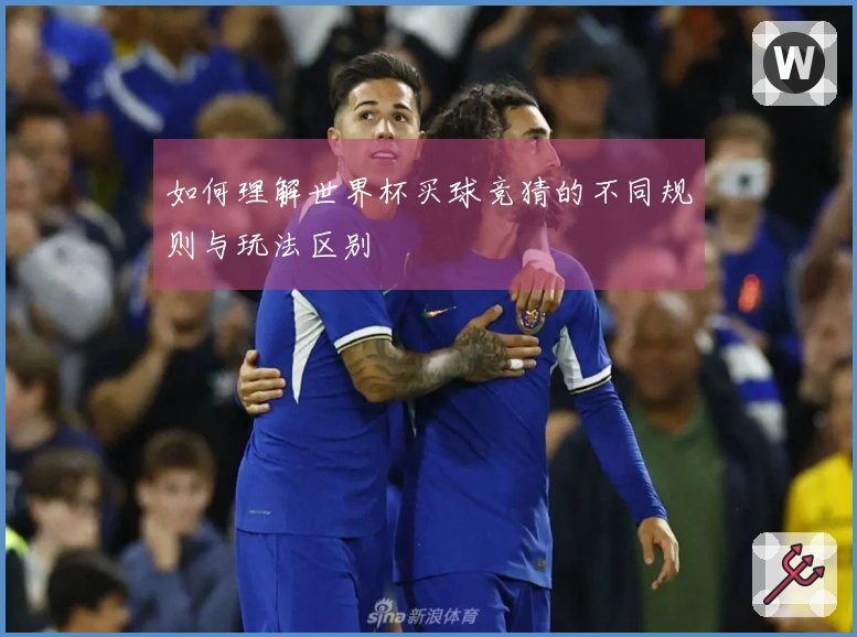 如何理解世界杯买球竞猜的不同规则与玩法区别