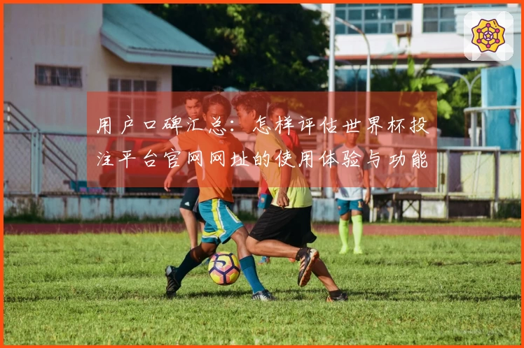 用户口碑汇总：怎样评估世界杯投注平台官网网址的使用体验与功能介绍
