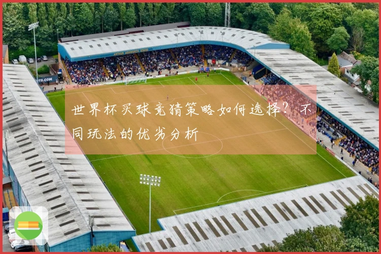 世界杯买球竞猜策略如何选择？不同玩法的优劣分析